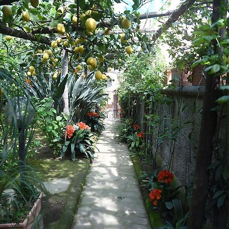Anthea Sorrento Bed & Breakfast Dış mekan fotoğraf