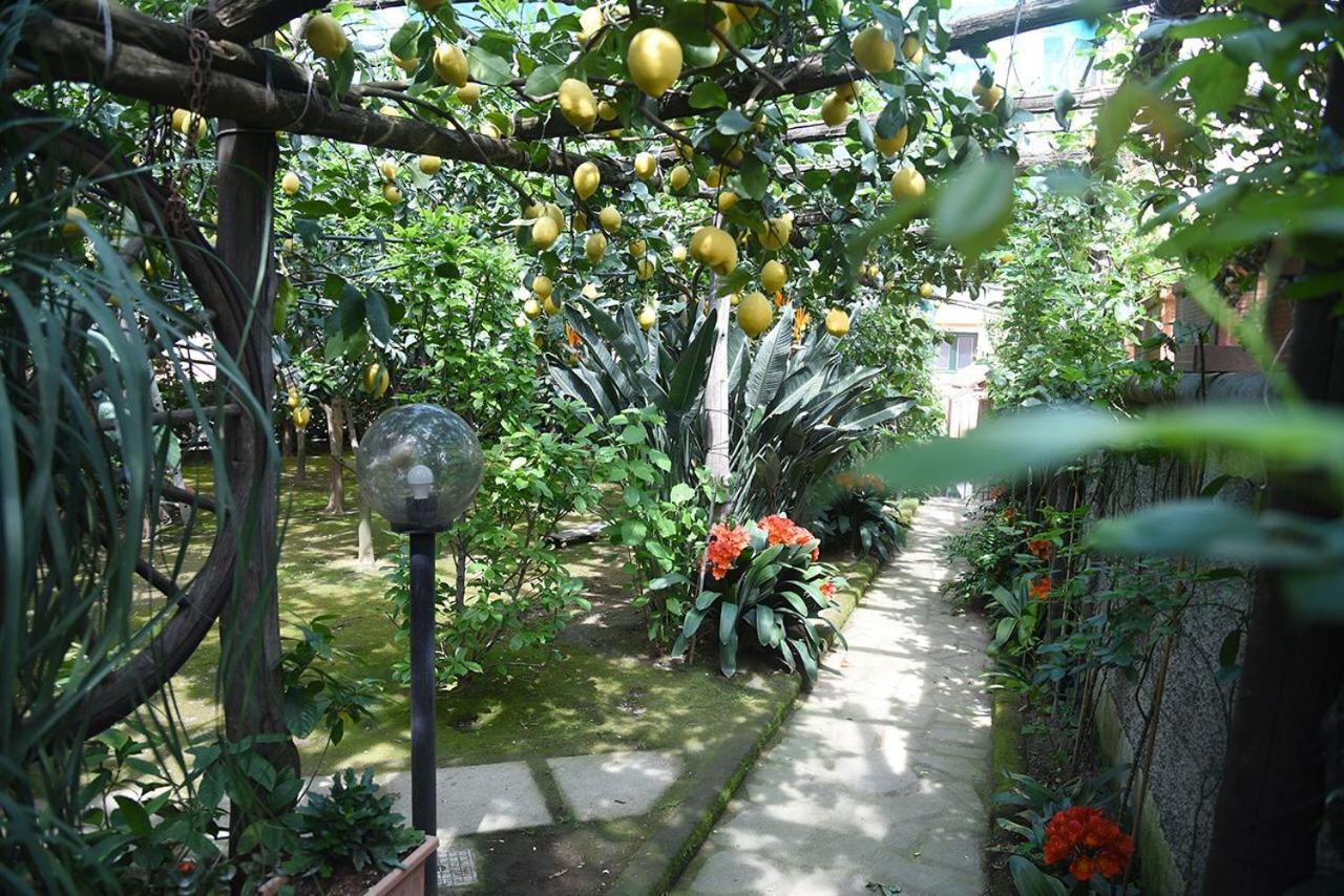 Anthea Sorrento Bed & Breakfast Dış mekan fotoğraf